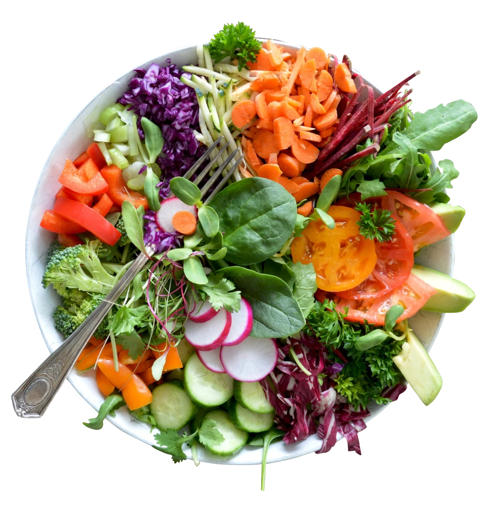 FoodConnect - Webflow website developed by Ashok